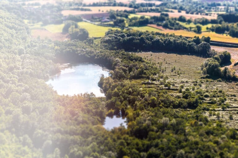 Hiking trails in the Dombes – Domaine de Sainte-Croix