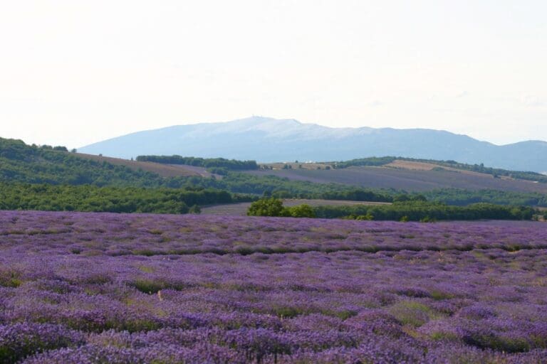 Le Chemin hike – Le Village des Lavandes, Montbrun-les-Bains
