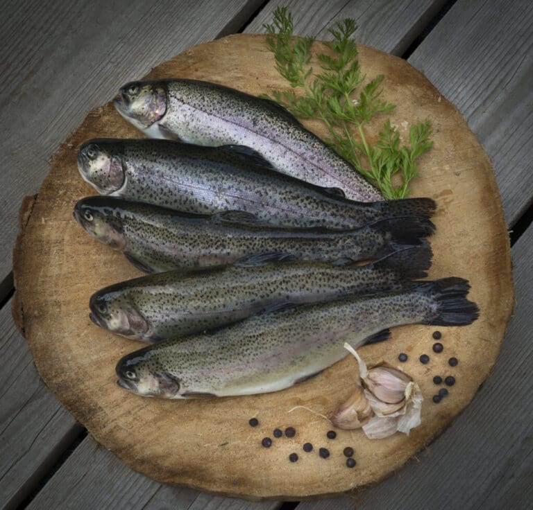 Plateau de poisson — Le Chalet des Coulmes, Le Domaine des Rambins