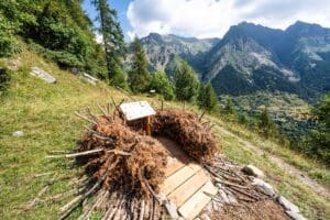 Birdwatching hike – Le Balcon des Écrins, Réallon