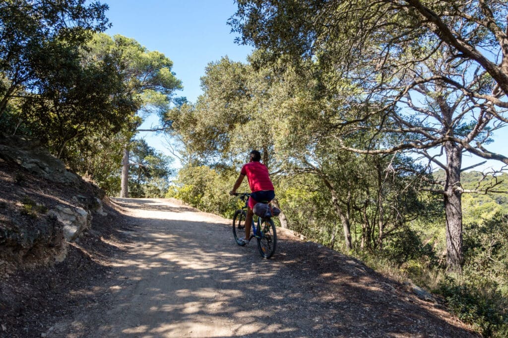 Bicycle trip in a wood on the island of Porquerolles — Le Sentier des Pins, Le Village des Lavandes
