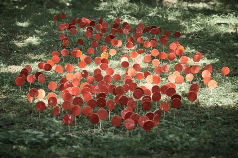 Red lollipops on stick against green grass, outdoor land art… — Menu d'activité Les Coulmes & Les Rambins 2026
