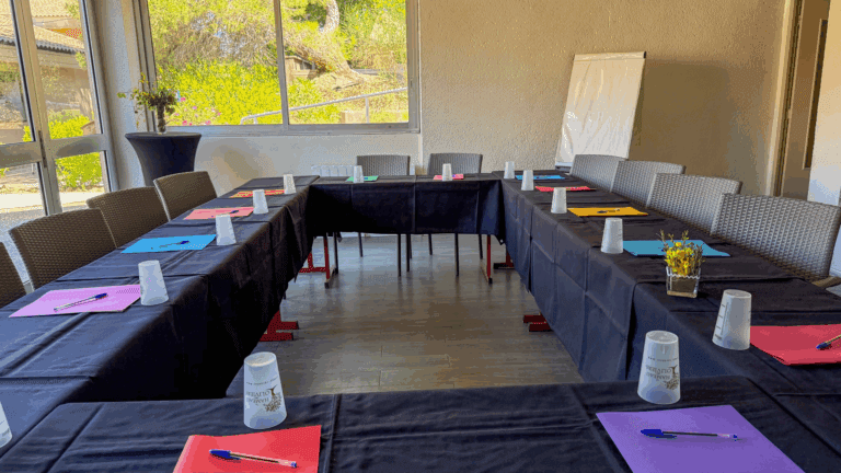 Oliviers meeting room – Le Hameau des Oliviers, Vaison-la-Romaine
