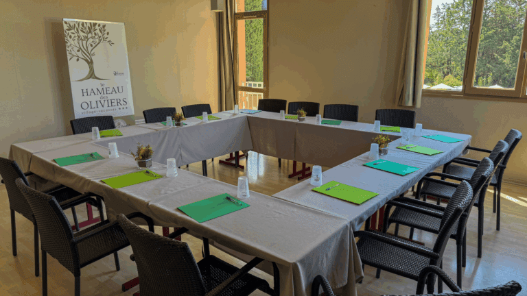 Provence meeting room – Le Hameau des Oliviers, Vaison-la-Romaine