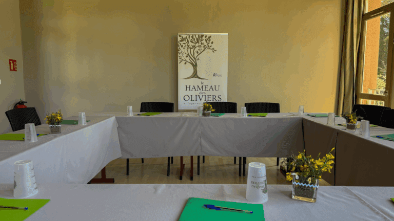 Provence meeting room – Le Hameau des Oliviers, Vaison-la-Romaine