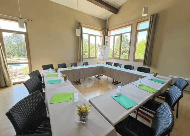 Provence meeting room – Le Hameau des Oliviers, Vaison-la-Romaine