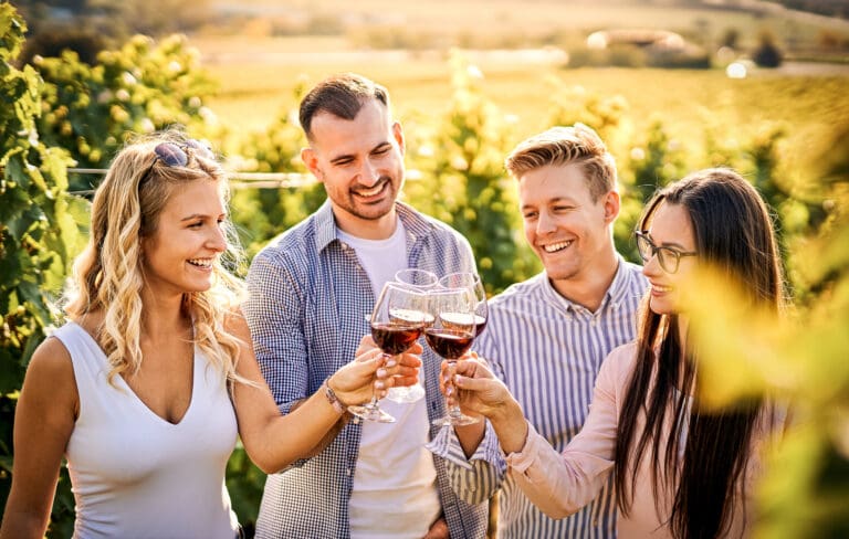 Young friends having fun outdoors Happy people enjoying… — Dégustation & Œnologie