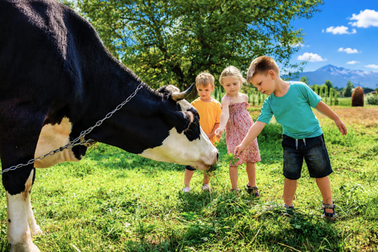 Visite de la Ferme