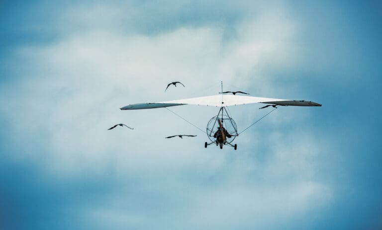 Microlight flying with the cranes — Vol en ULM